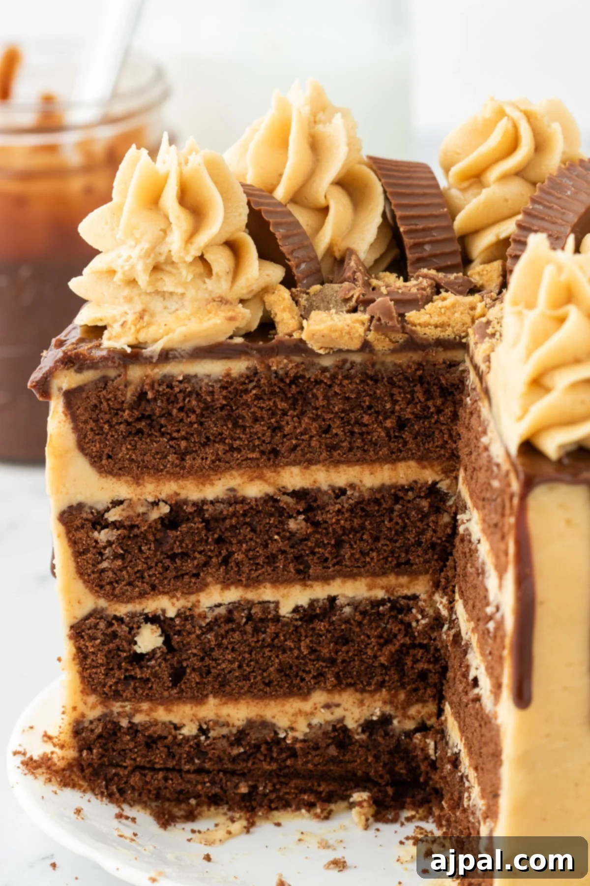 chocolate cake layered with ganache, peanut butter frosting, and peanut butter cups on top on a white plate