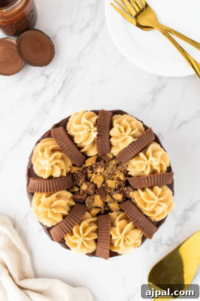 chocolate peanut butter layer cake with peanut butter icing swirls and peanut butter cups on top