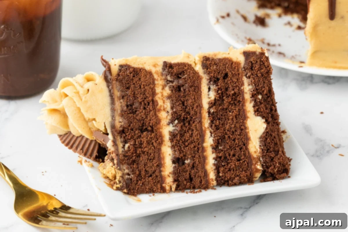 chocolate cake layered with ganache, peanut butter frosting, and peanut butter cups on top on a white plate