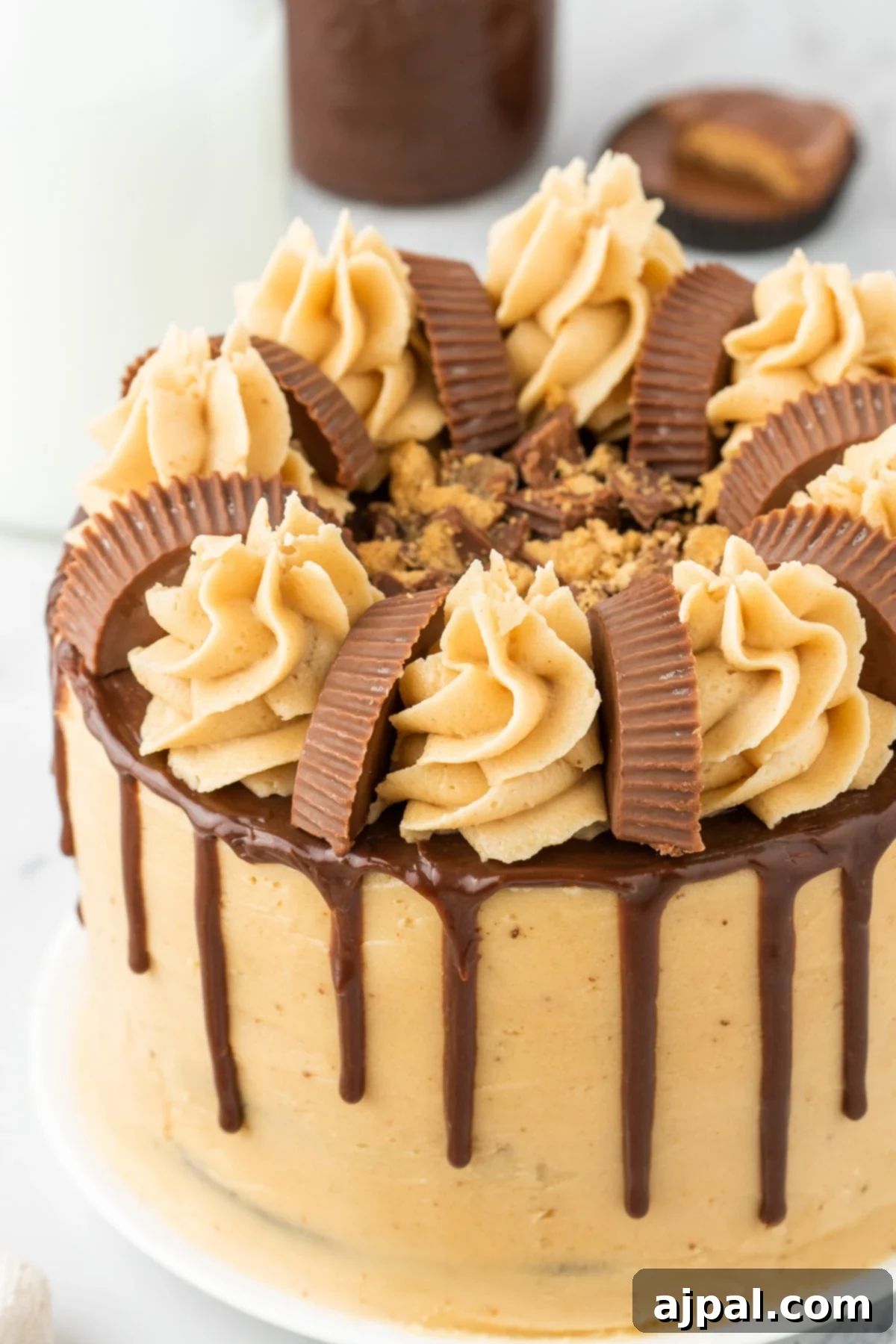 chocolate cake layered with ganache, peanut butter frosting, and peanut butter cups on top on a white plate