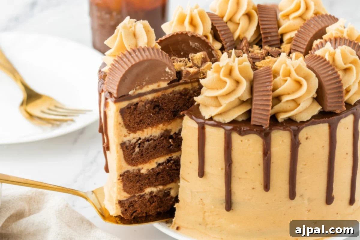 chocolate cake layered with ganache, peanut butter frosting, and peanut butter cups on top on a white plate