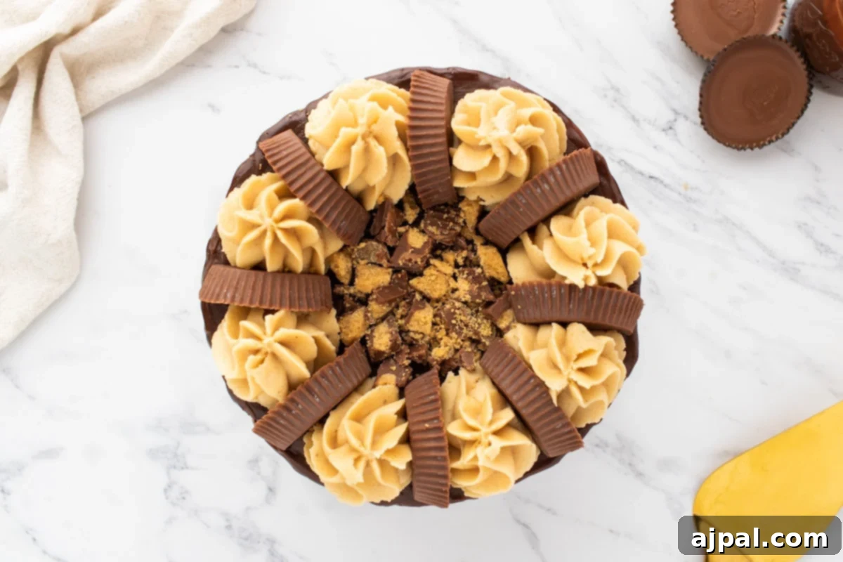 chocolate cake layered with ganache, peanut butter frosting, and peanut butter cups on top on a white plate