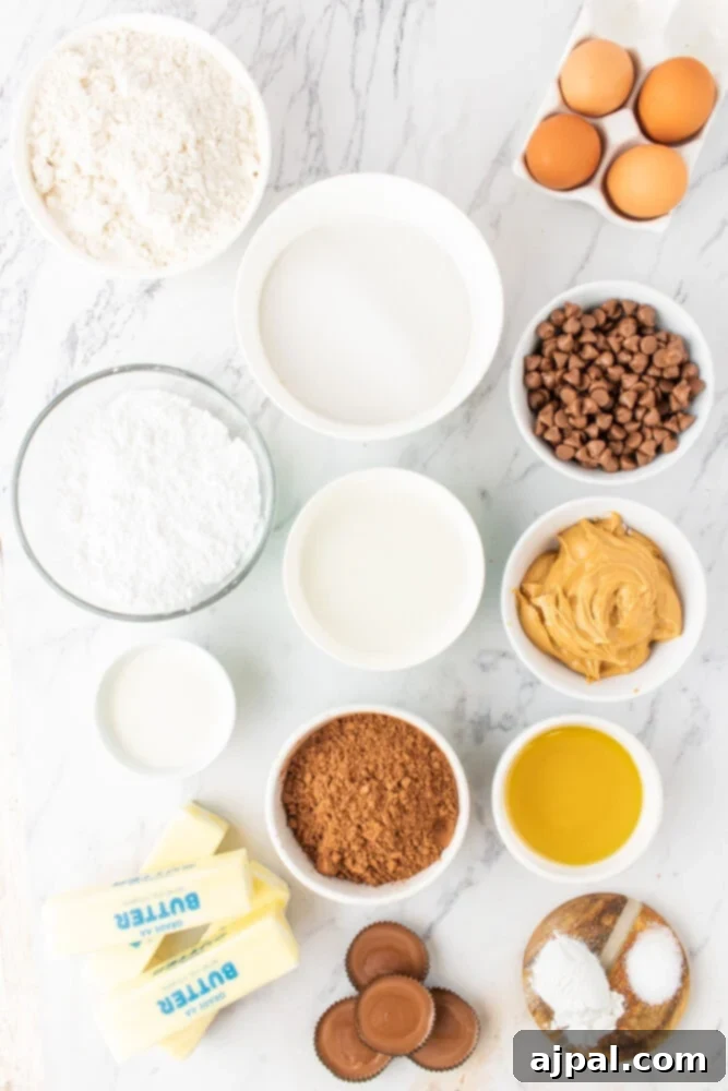 sugars, flour, peanut butter, chocolate chips, butter, oil, eggs on a table