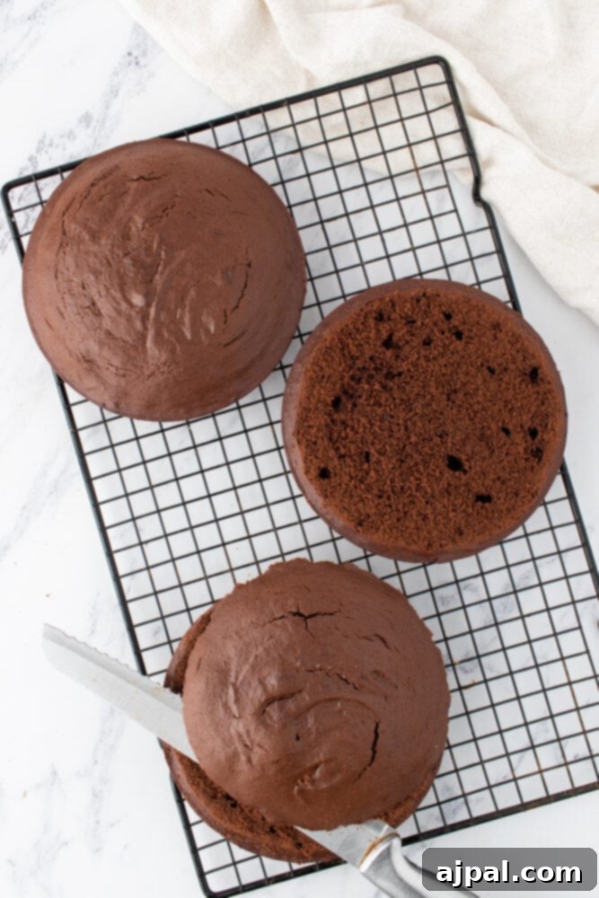 baked chocolate layer cake layers on a cooling rack
