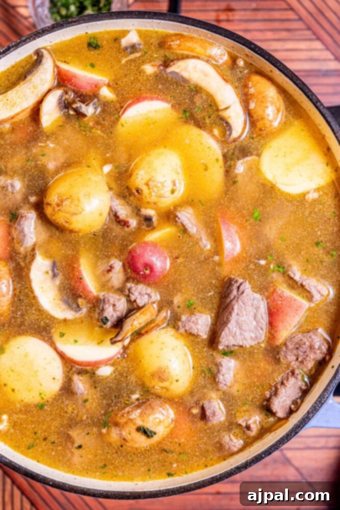 Hearty Beef and Potato Beer Stew 12 A finished bowl of steak, potato, and vegetable stew, ready to be served.