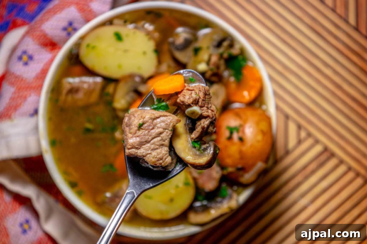 Hearty Beef and Potato Beer Stew 3 A spoonful of rich steak and potato beer stew being lifted from a bowl, showing the tender beef, carrots, and potatoes.
