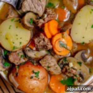 A hearty beef stew with tender steak, potatoes, and carrots cooked in flavorful IPA beer.