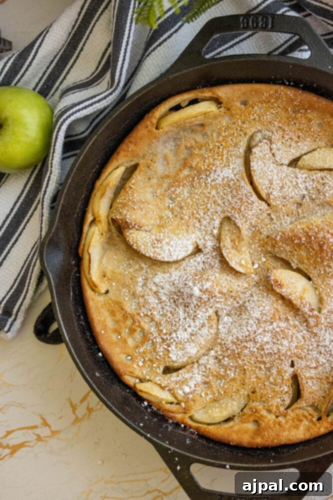 A perfectly baked Cinnamon Apple Dutch Baby in a rustic cast iron skillet, showcasing its golden-brown crust and tender apples.