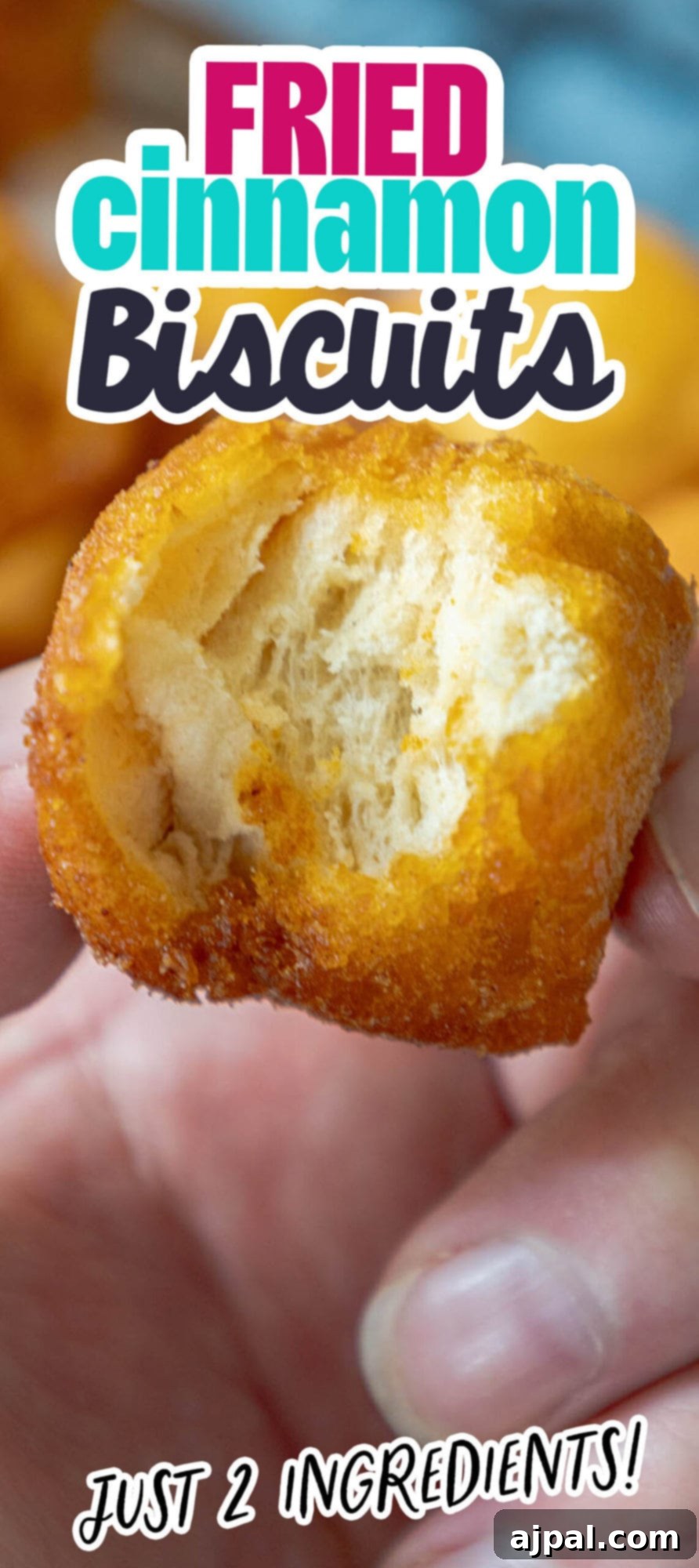 Golden Cinnamon Bites 5 Fried cinnamon biscuits.