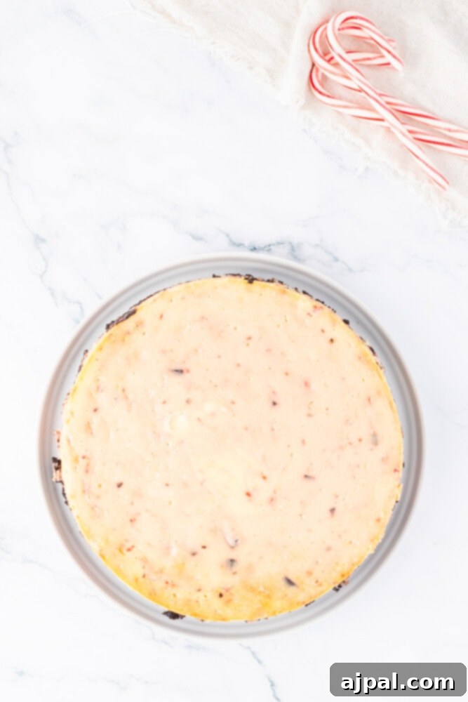 Peppermint Bark Cheesecake 10 A chocolate peppermint cheesecake in a springform pan, ready for the oven, topped with crushed candy canes.