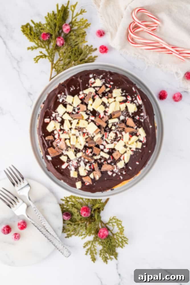 Peppermint Bark Cheesecake 11 A beautifully baked chocolate peppermint cheesecake, still in its springform pan, adorned with a generous layer of crushed candy canes on top.