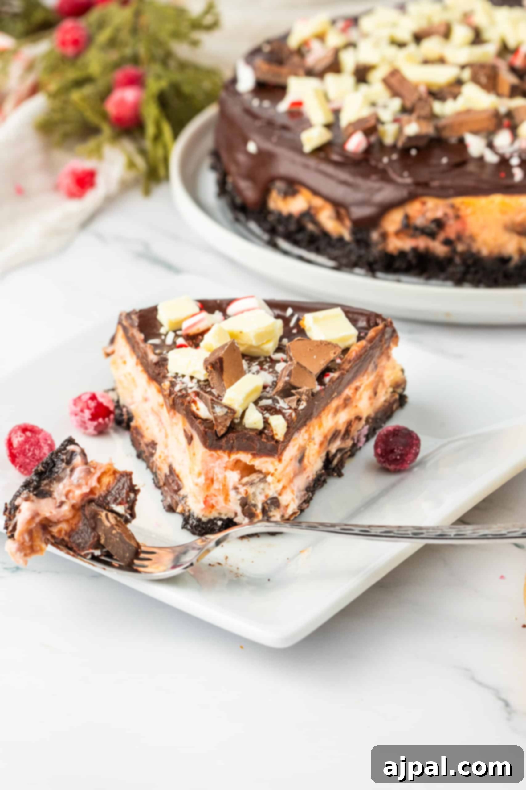 Peppermint Bark Cheesecake 12 A delectable slice of chocolate peppermint cheesecake, beautifully presented on a pristine white plate, with the cheesecake's rich layers and toppings in full view.