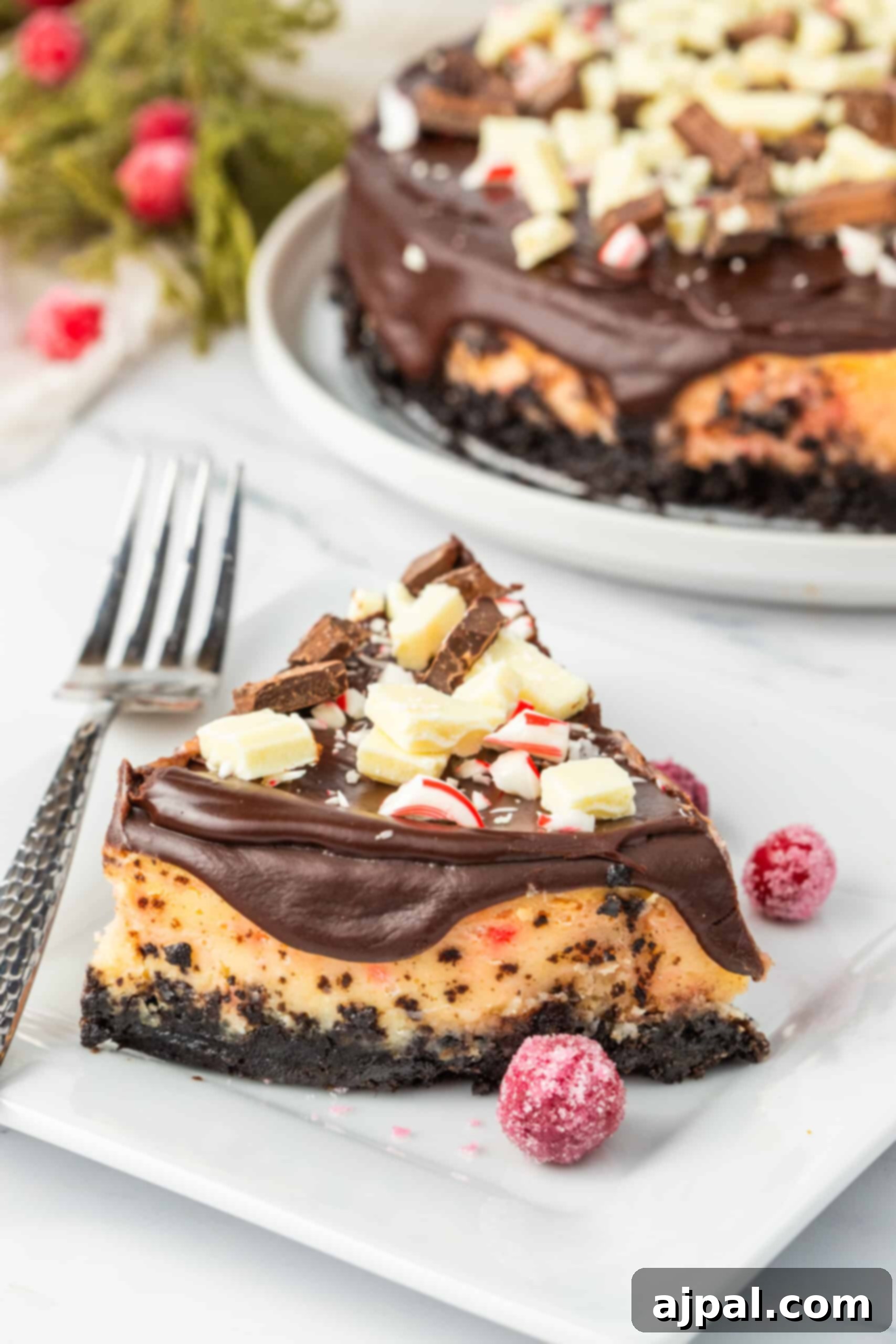 Peppermint Bark Cheesecake 13 A single slice of chocolate peppermint cheesecake on a white plate, highlighting the smooth chocolate ganache, whipped topping, and festive candy cane sprinkles.
