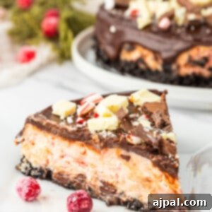 A slice of chocolate peppermint cheesecake on a plate.