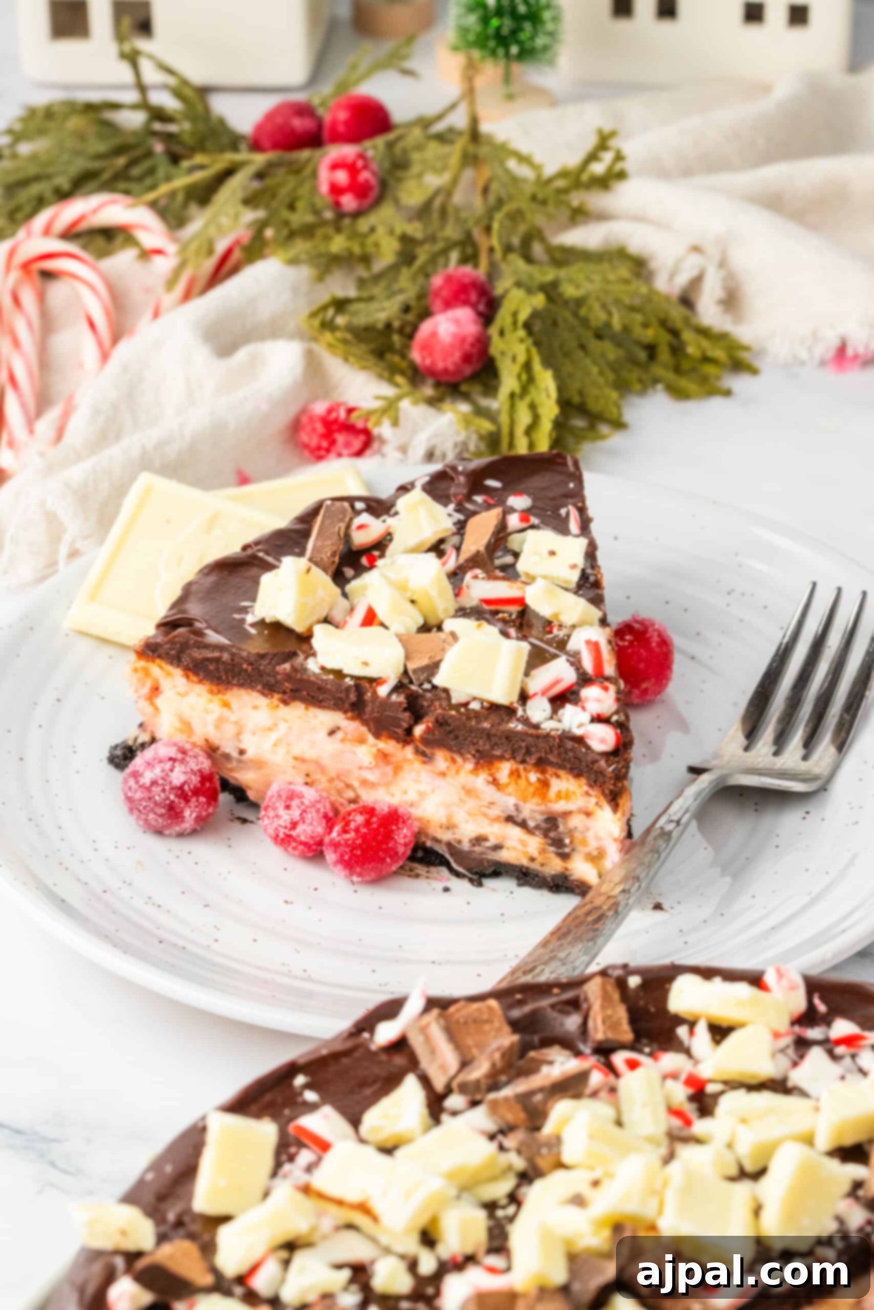 Peppermint Bark Cheesecake 4 A close-up shot of a single slice of chocolate peppermint cheesecake on a white plate, showcasing its layered crust, creamy filling, and decorative top.
