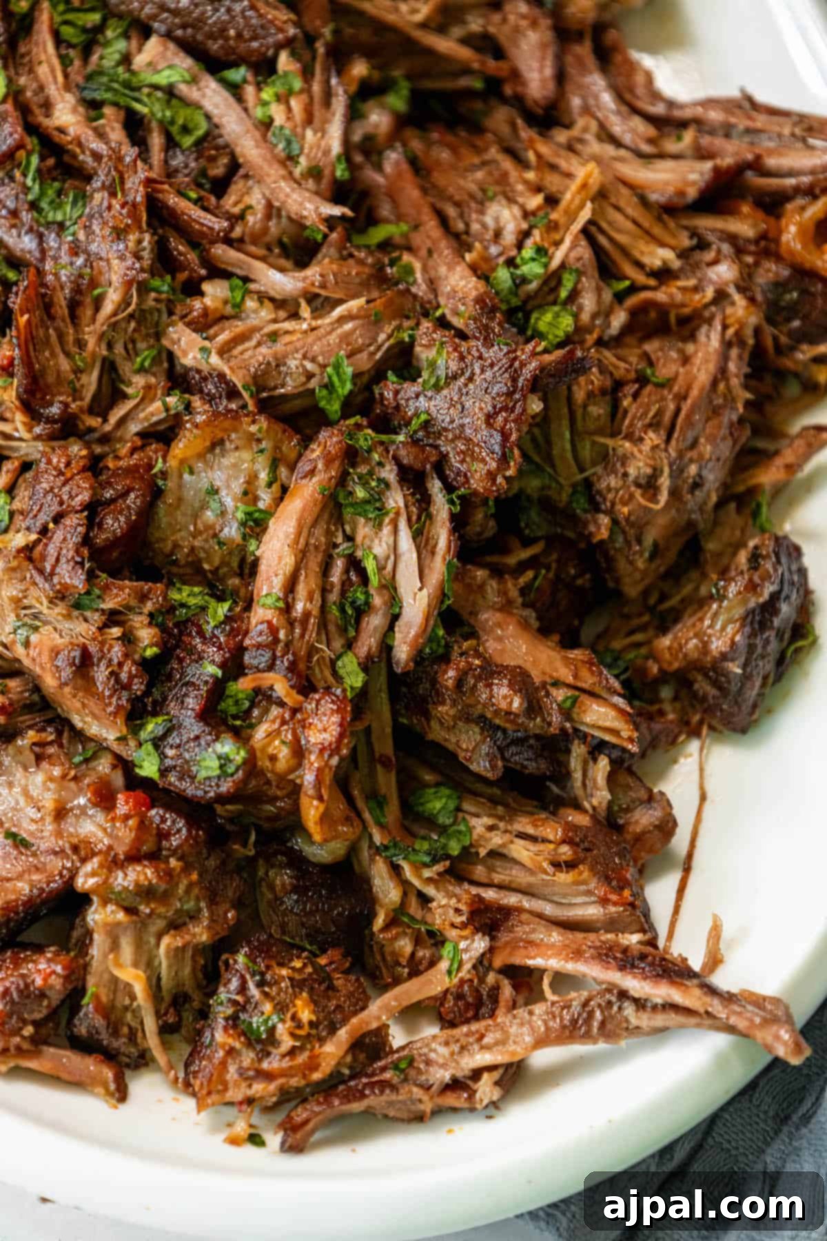 Bbq pulled pork on a white plate, made with the Perfect Chuck Roast and garnished beautifully.