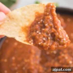 A person holding a tortilla chip with Chipotle sauce on it.