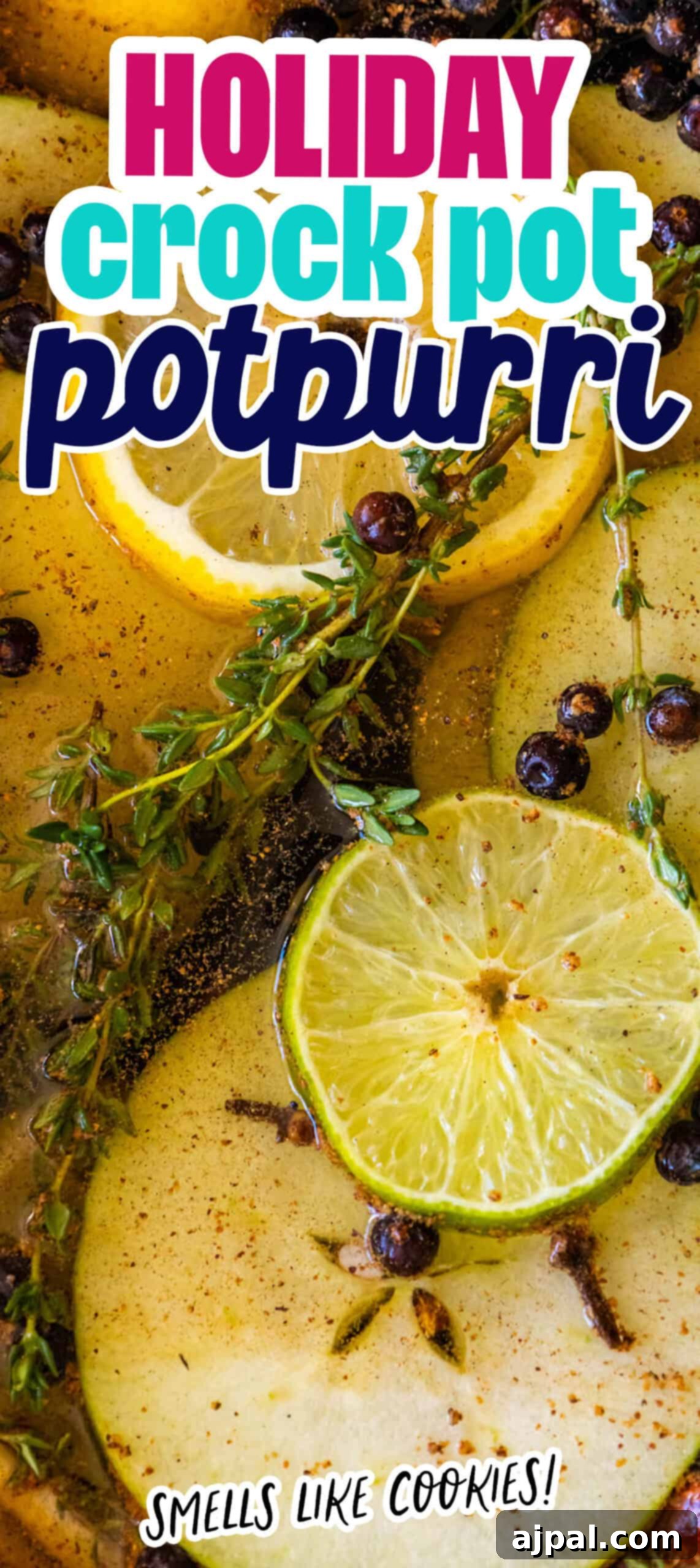 Slow Cooker Christmas Potpourri 8 Crockpot holiday potpourri.