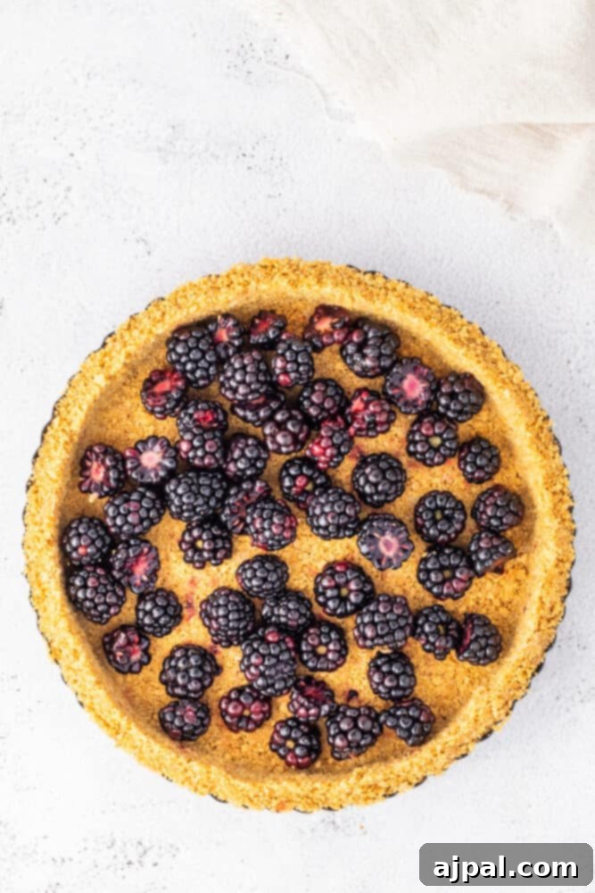 Silken White Chocolate Blackberry Tart 12 A white background supports a luscious blackberry pie topped with plump and juicy berries, creating a delightful White Chocolate Blackberry Tart.