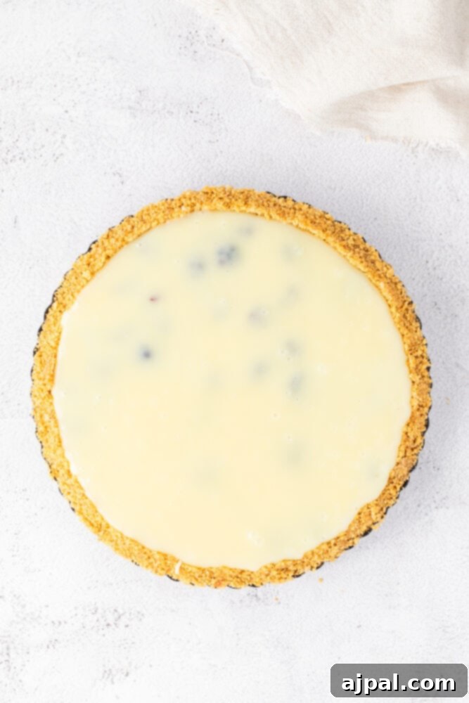 Silken White Chocolate Blackberry Tart 14 A white pie with blueberry filling on a white surface, a variation inspiration.