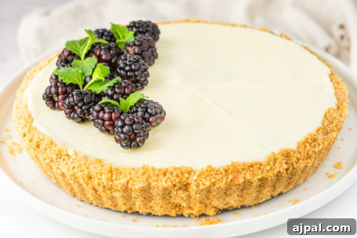 Silken White Chocolate Blackberry Tart 3 A delicious white chocolate blackberry tart presented on a pristine white plate, garnished with fresh berries.