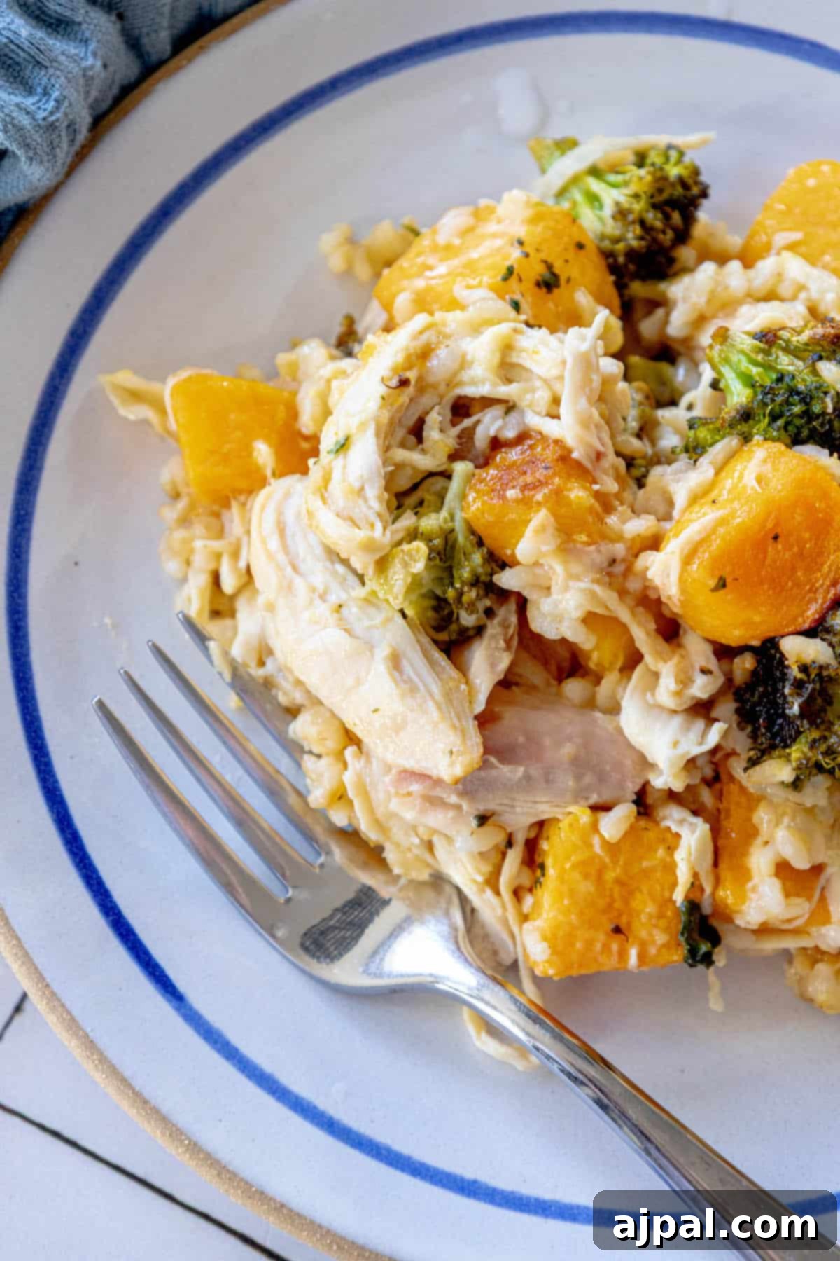 A serving of comforting butternut squash chicken and rice casserole with green broccoli florets.