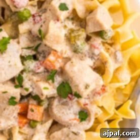 Easy Slow Cooker Chicken a la King 15 A slow cooker chicken noodle soup with carrots and peas fit for a king.