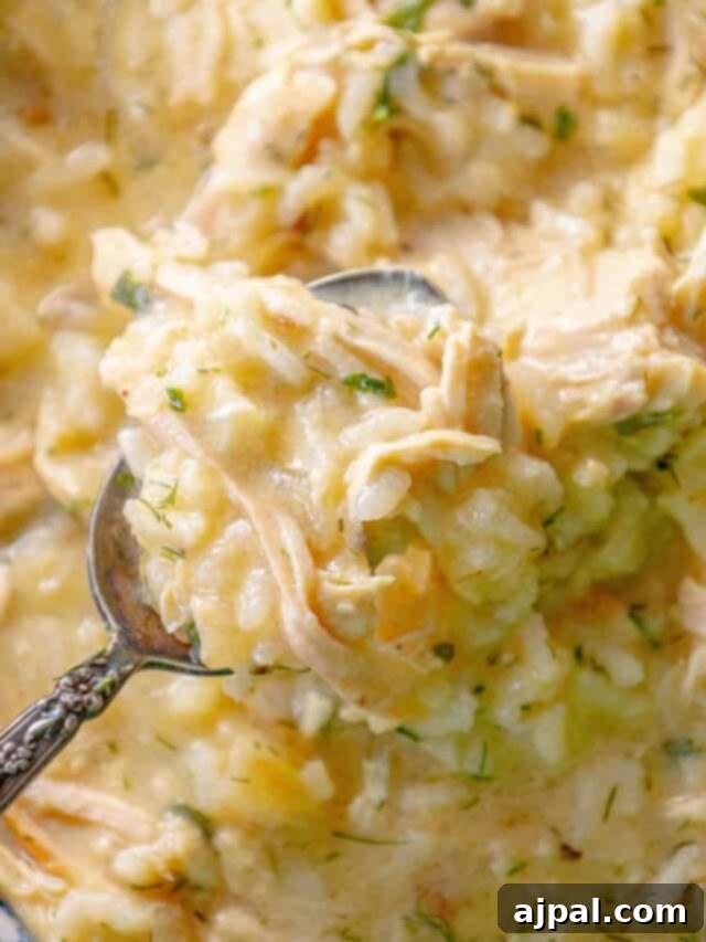 Velvety Greek Avgolemono 3 A spoonful of chicken risotto in a skillet.