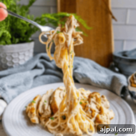 Creamy Chicken Alfredo Perfection 12 A person holding a fork over a plate of spaghetti and best chicken alfredo.