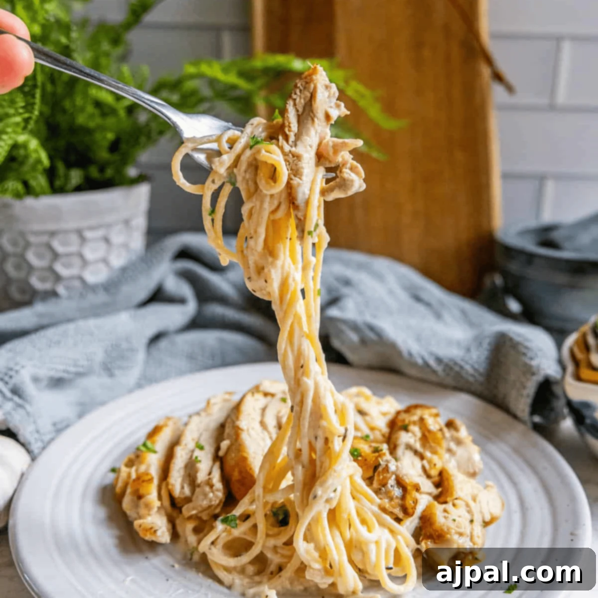 Creamy Chicken Alfredo Perfection 3 A person holding a fork over a plate of spaghetti and best chicken alfredo.