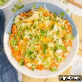 A hot bowl of cheesy nacho dip with tortilla chips.