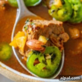 A spoonful of spicy beef stew with jalapenos, ready to eat.