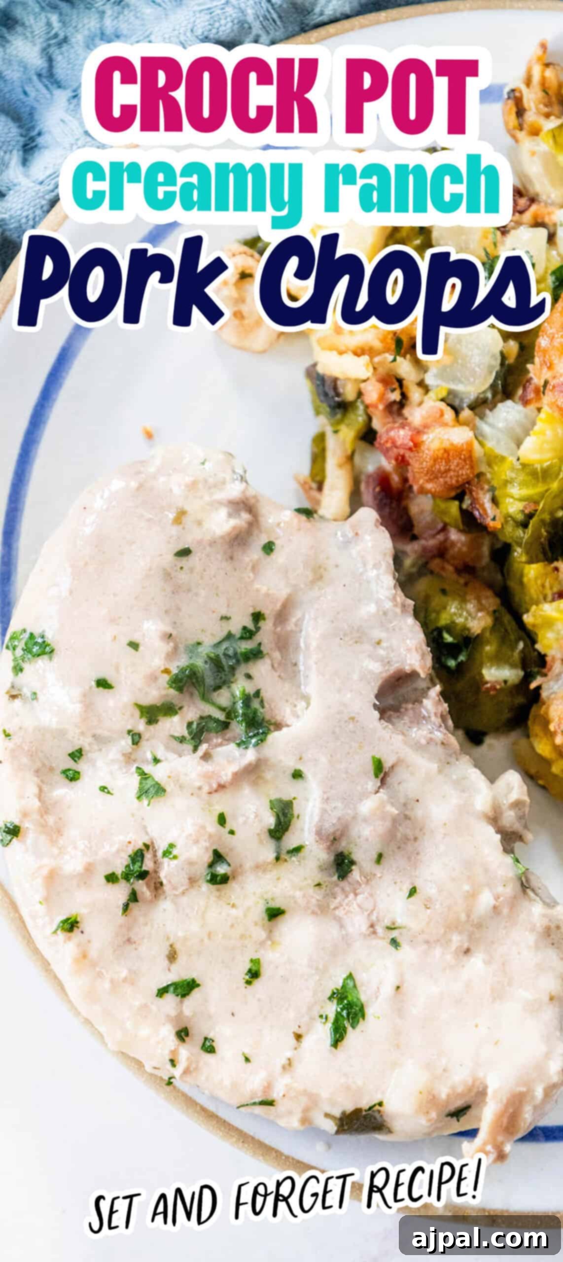 Slow Cooker Creamy Ranch Pork Chops 12 Ranch-style creamy Crock Pot pork chops, close up, showing tender meat and thick sauce.