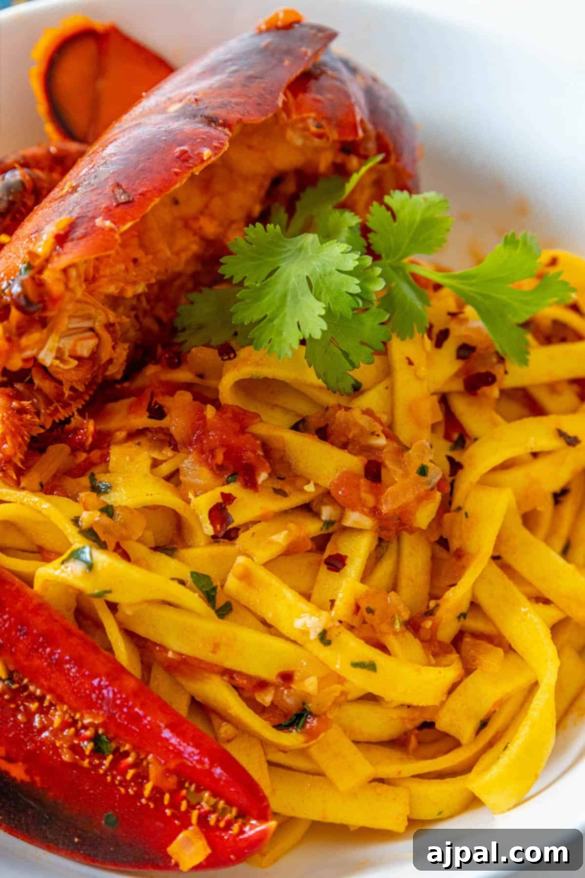 Exquisite Italian Lobster Pasta 2 A bowl of Lobster Pasta Busara.