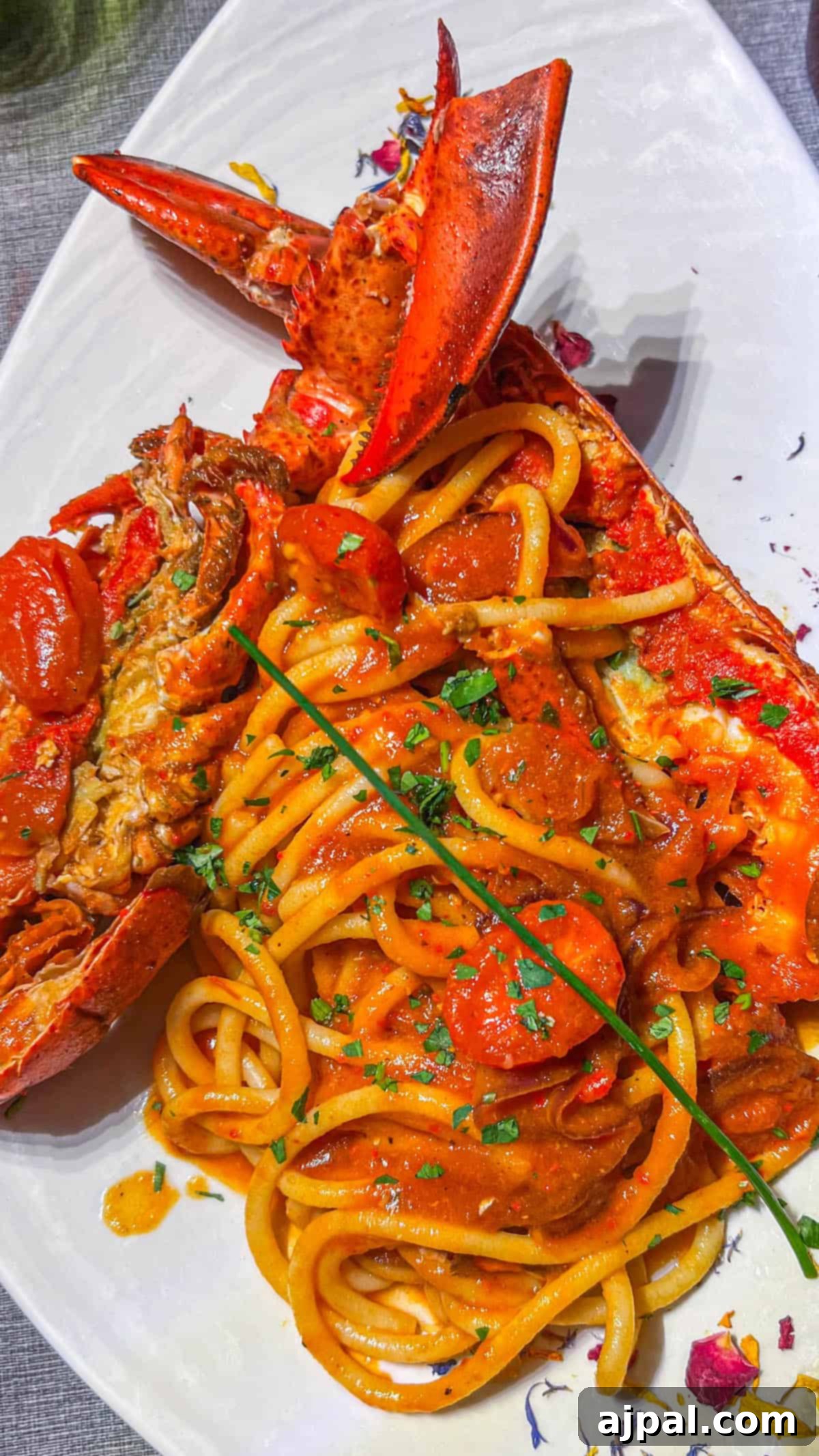Exquisite Italian Lobster Pasta 5 A plate of Lobster Pasta Busara, with a lobster on it.
