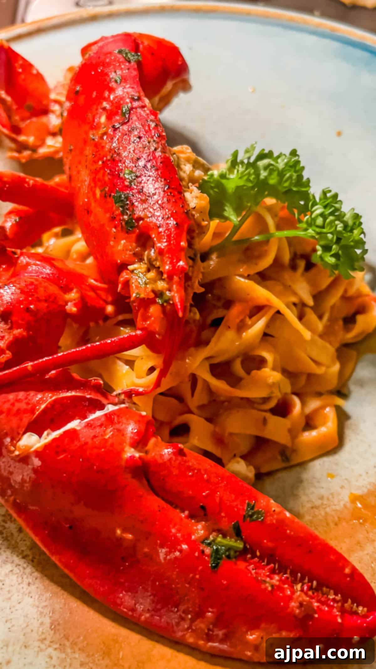 Exquisite Italian Lobster Pasta 6 A plate of Venetian Lobster Busara pasta.