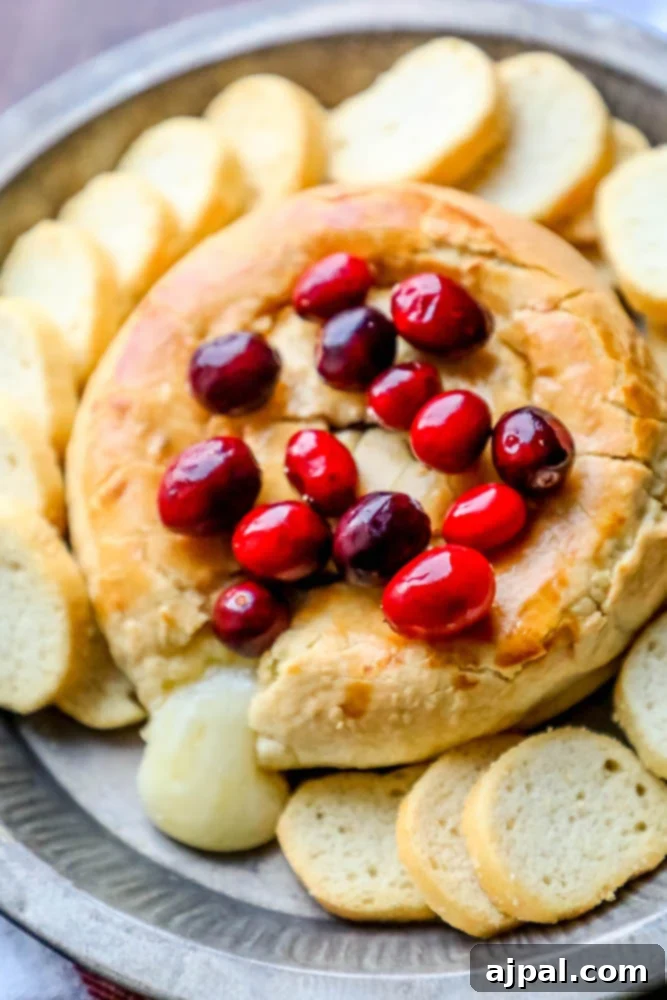 Cranberry Apricot Baked Brie Recipe