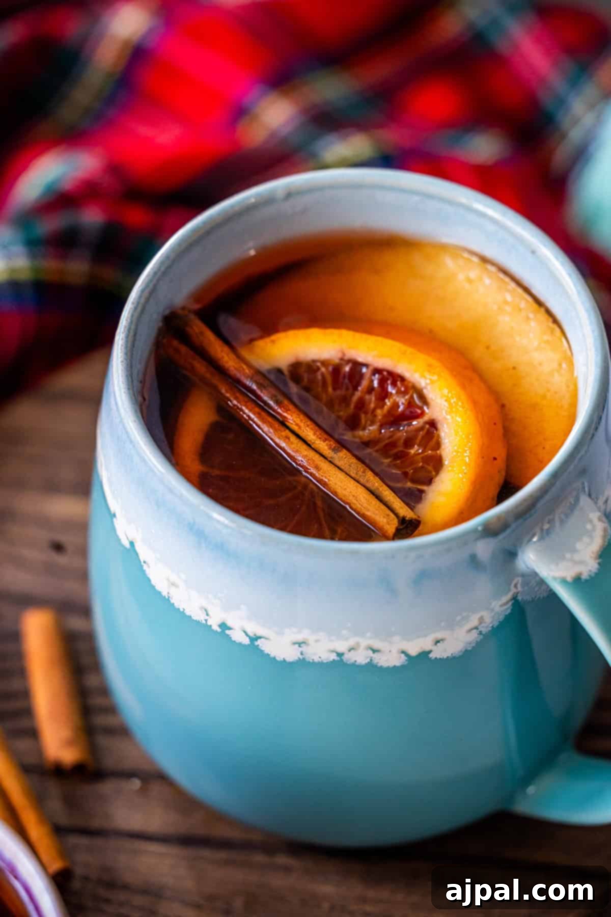 A blue mug filled with the Best Mulled Cider Ever, garnished with orange slices and a cinnamon stick, sits against a cozy plaid fabric background.