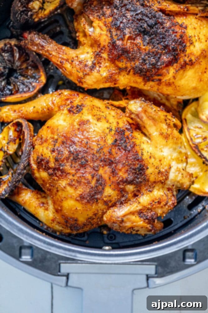 Using an Air Fryer for Delicious Meals 6 Roasted Chicken