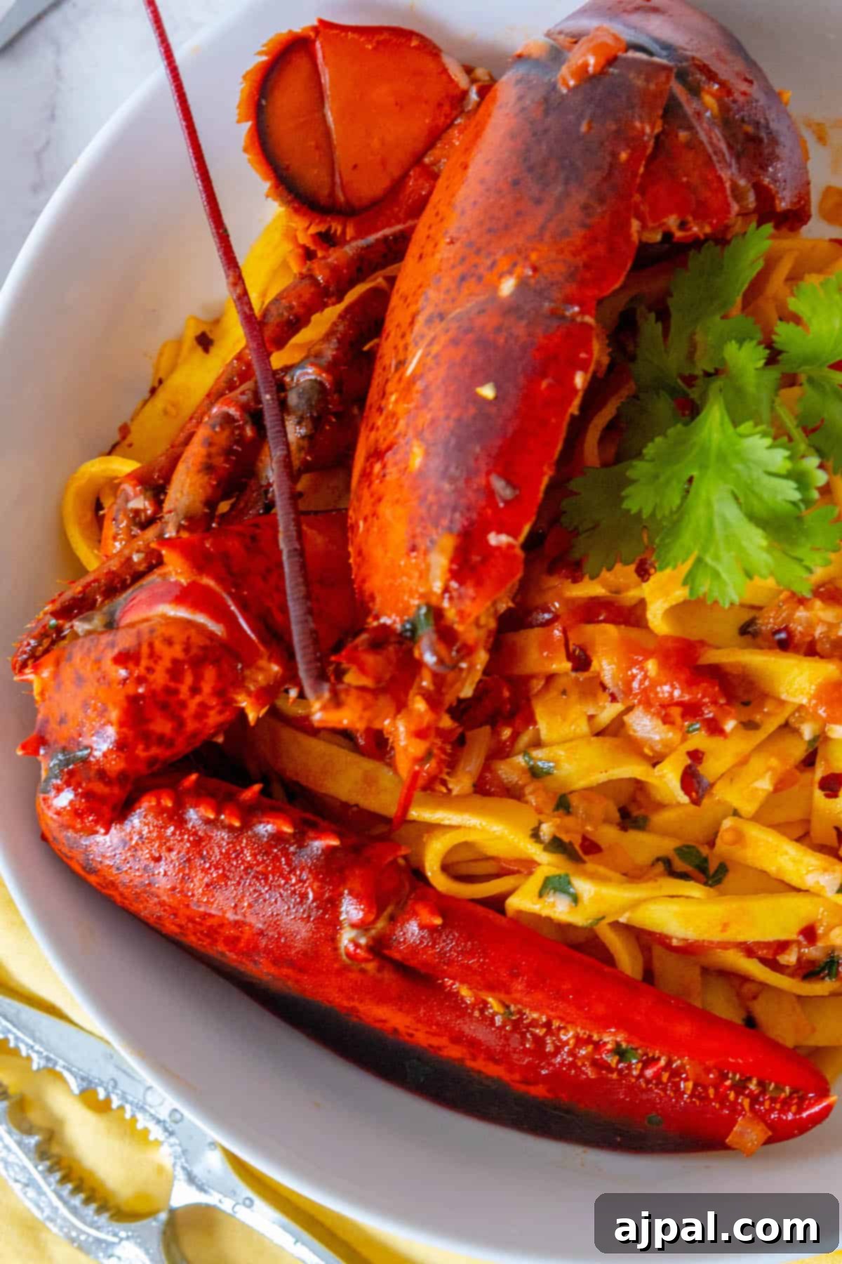 Beloved Valentine's Day Dishes 15 Lobster Pasta Busara