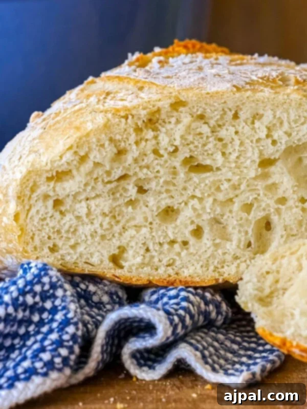 The Best Easy No Knead Bread