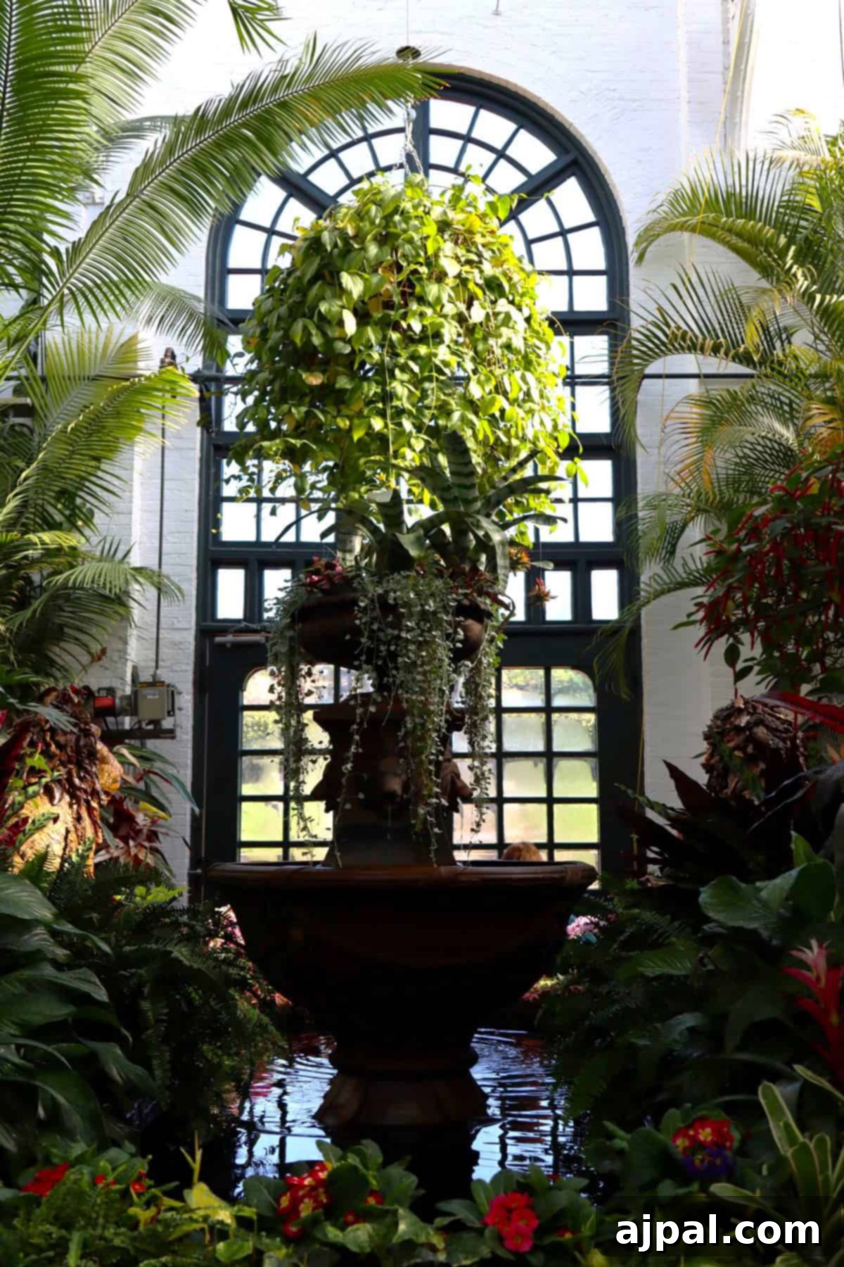 Indoor garden at Biltmore