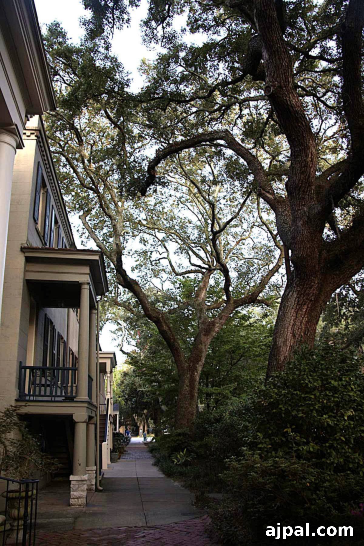 Street in Savannah