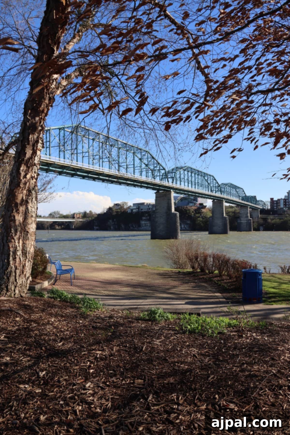 Chattanooga: Your Ultimate Travel Companion 3 Walnut Street Bridge, Chattanooga, Tennessee