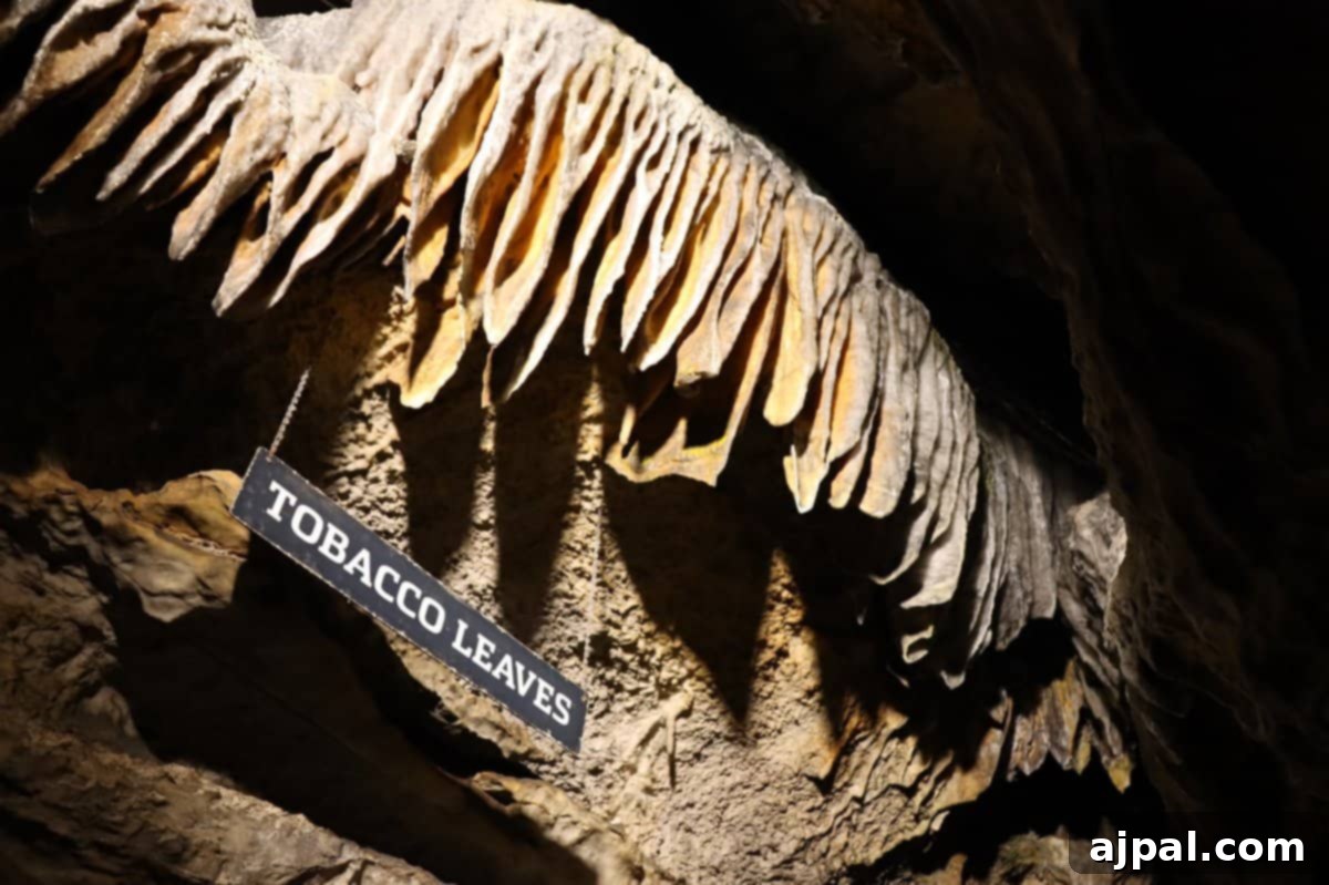 Chattanooga: Your Ultimate Travel Companion 7 Rock formations in Raccoon Mountain Caverns