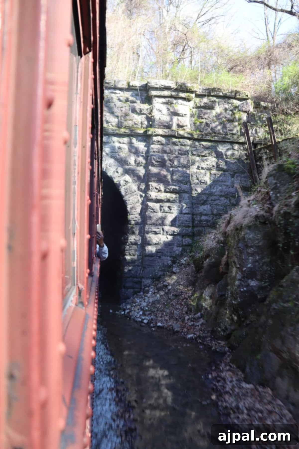 Chattanooga: Your Ultimate Travel Companion 10 Train at Tennessee Valley Railroad Museum