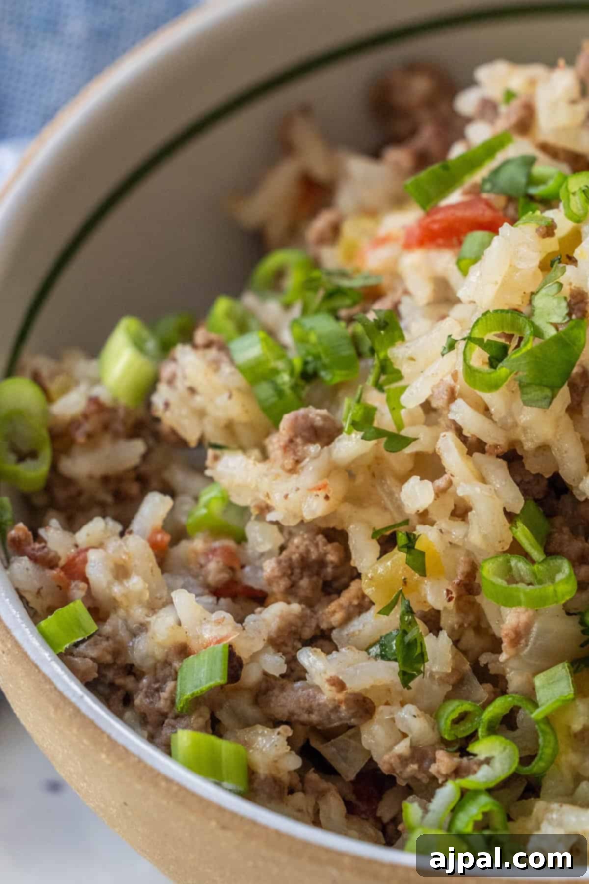 A close-up of a bowl filled with rice, ground meat, chopped tomatoes, and sliced green onions.