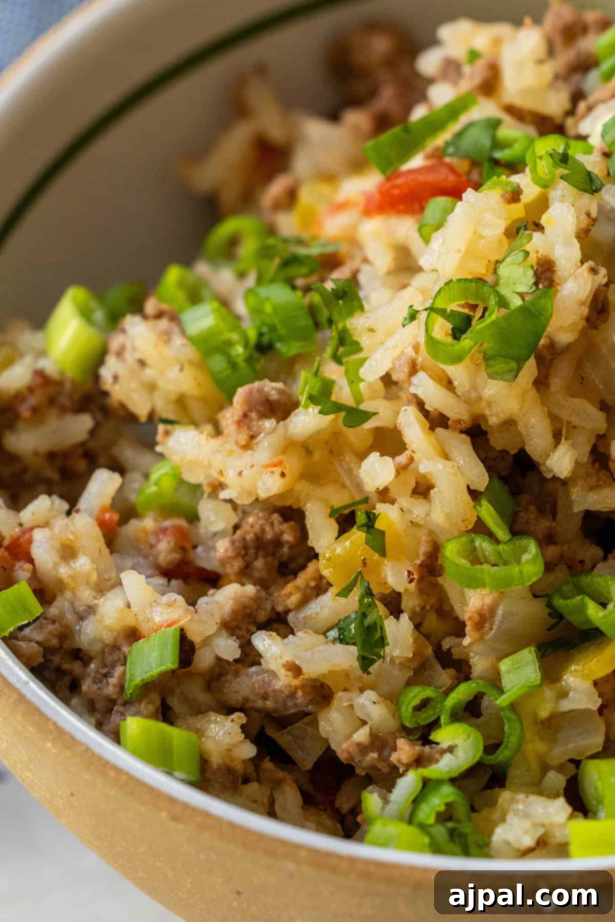 A close-up of a bowl filled with baked rice, ground meat, chopped green onions, and herbs—perfect for anyone craving a comforting baked dirty rice recipe.