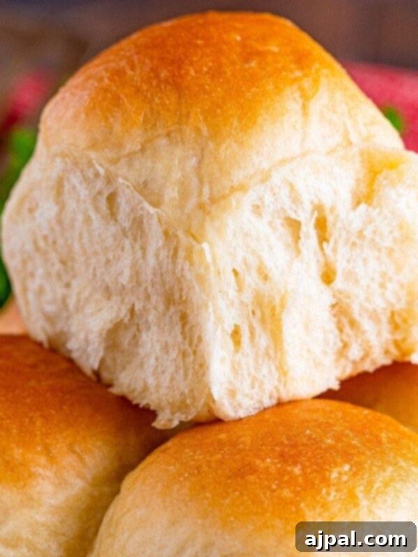 Homemade Yeast Rolls