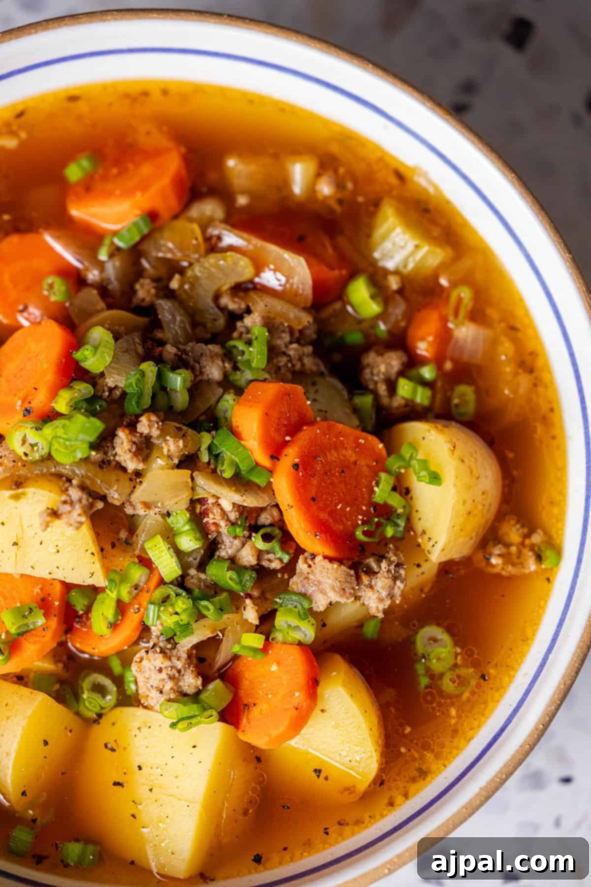 Bowl of Sausage Vegetable Soup with green onions